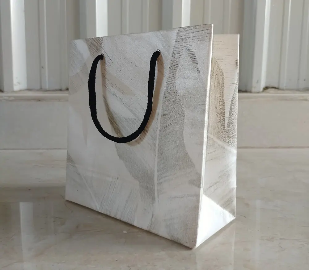 Eco friendly paper bags